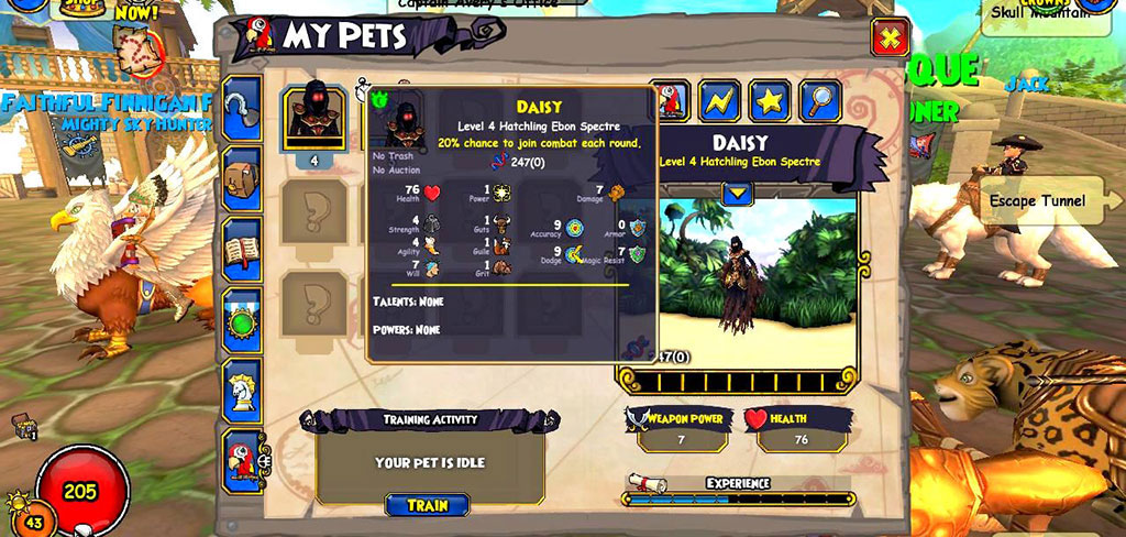 Game Pets  Pirate101 Free Online Game