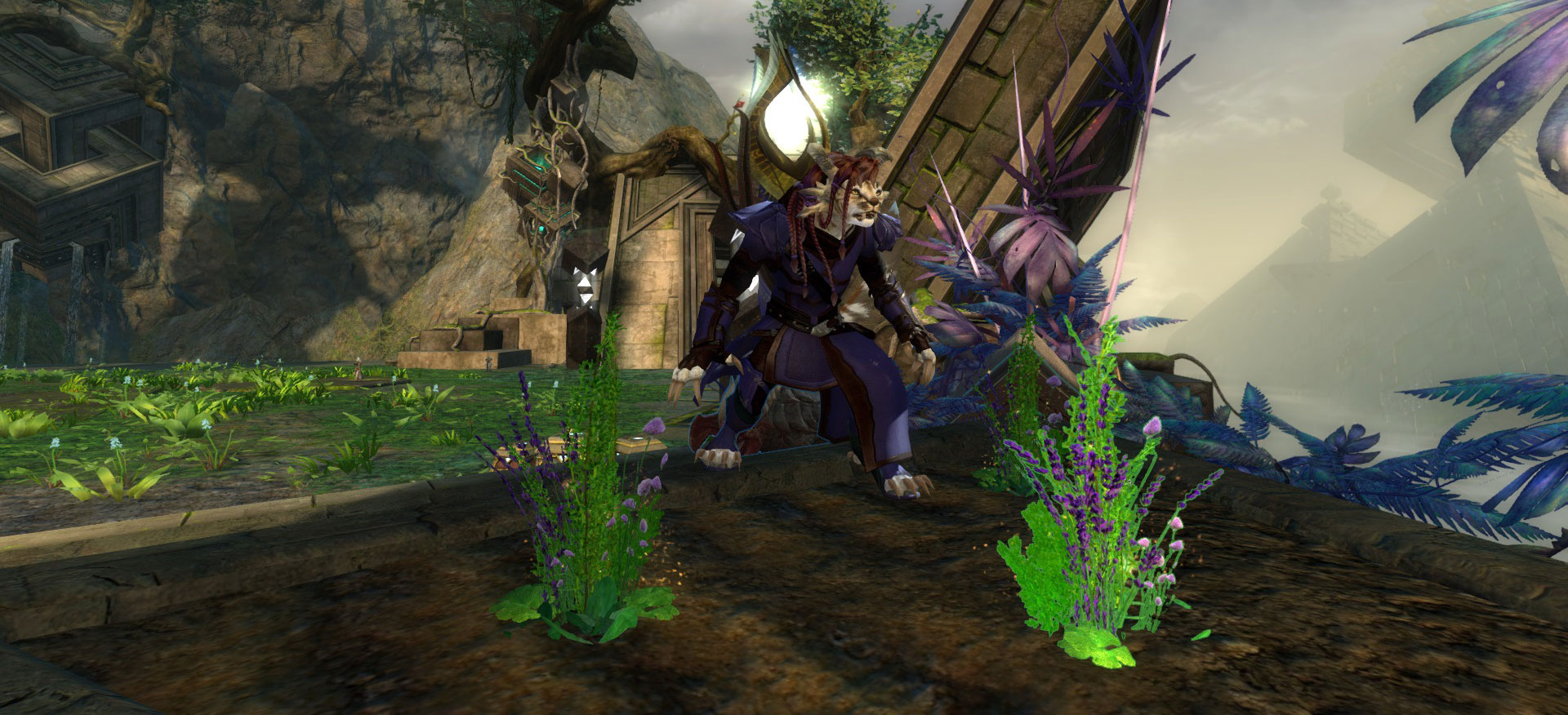 GW2 400-500 Armorsmith Guide Easy Max Armorsmith